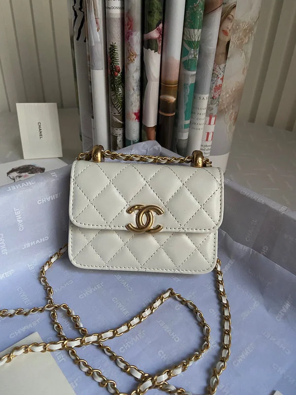 Chanel bags with exclusive seasonal designs and materialsBC - CHANEL Bags - 1008