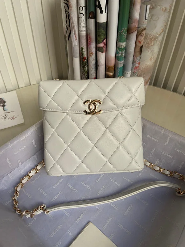 Chanel bags with exclusive seasonal designs and materialsBC - CHANEL Bags - 1042