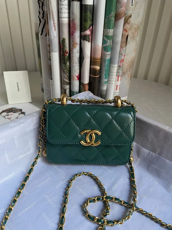 Chanel bags with exclusive seasonal designs and materialsBC - CHANEL Bags - 1009