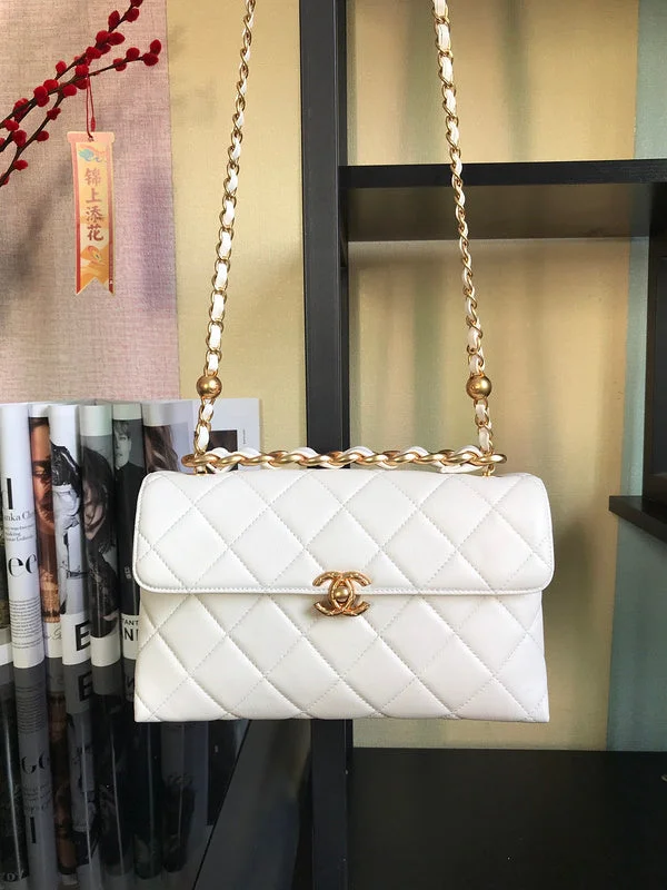 Chanel bags with exclusive seasonal designs and materialsBC - CHANEL Bags - 1054