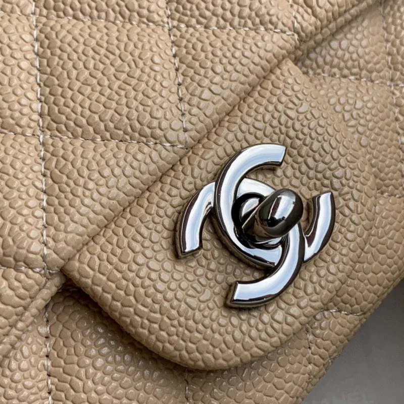 Chanel bags with exclusive seasonal designs and materialsBC - CHANEL BAGS - 090