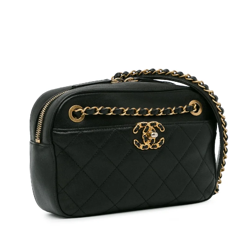 Chanel bags with exclusive seasonal designs and materialsChanel Goatskin 19 Camera Case (yHuBpW)