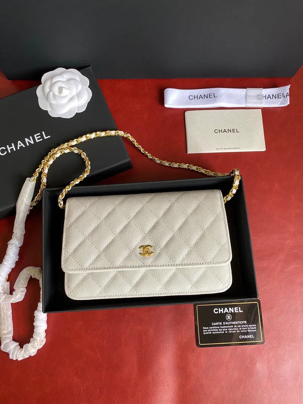 Chanel bags with exclusive seasonal designs and materialsWF - Chanel Bags - 1836