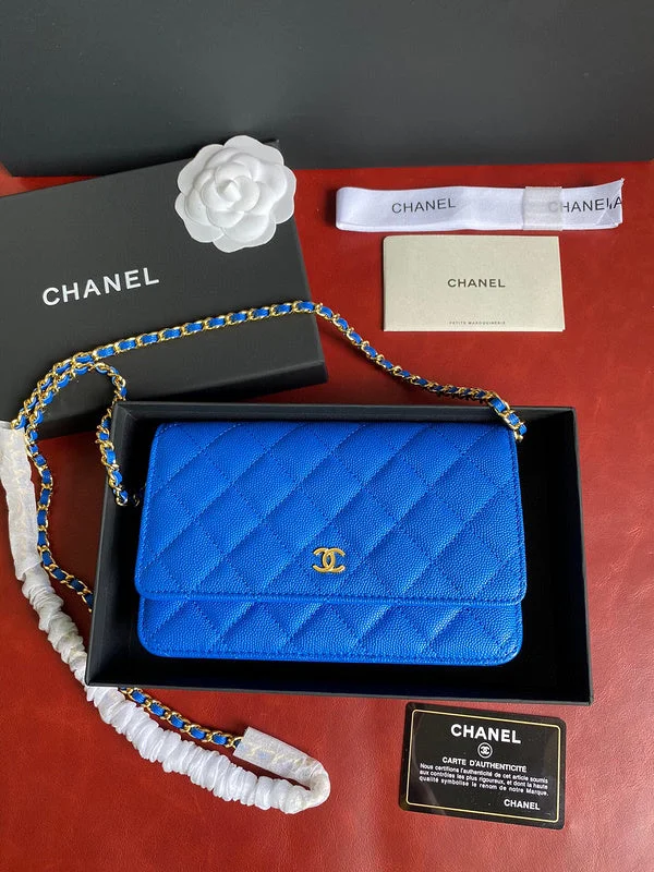 Chanel bags with exclusive seasonal designs and materialsWF - Chanel Bags - 1838