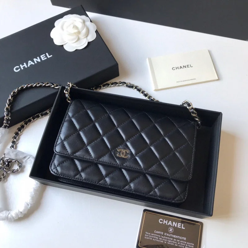 Chanel bags with exclusive seasonal designs and materialsWF - Chanel Bags - 1874